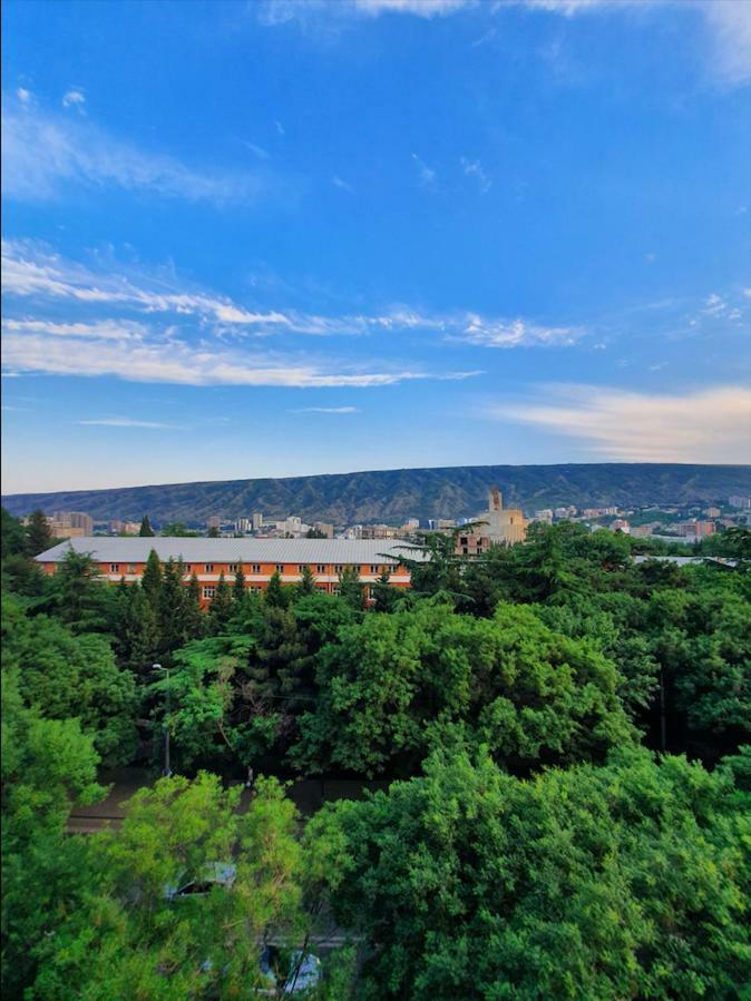 5 Rooms Near 300 Aragveli Metro Station Τυφλίδα Εξωτερικό φωτογραφία
